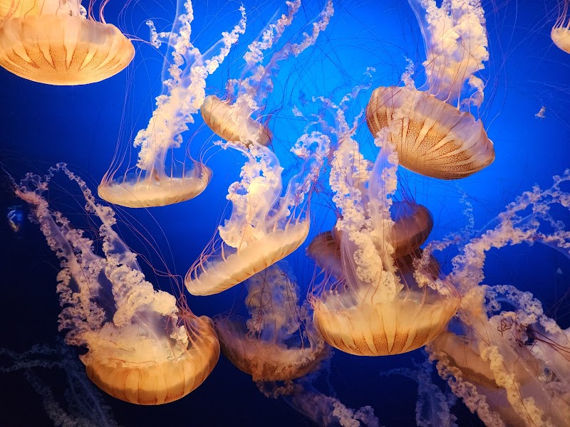 Omaha's Henry Doorly Zoo and Aquarium photo 2