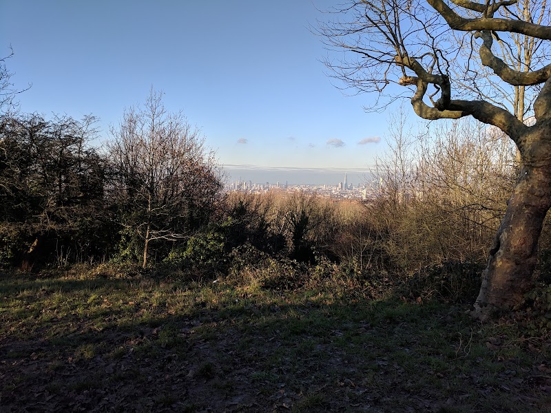 One Tree Hill Park photo 2