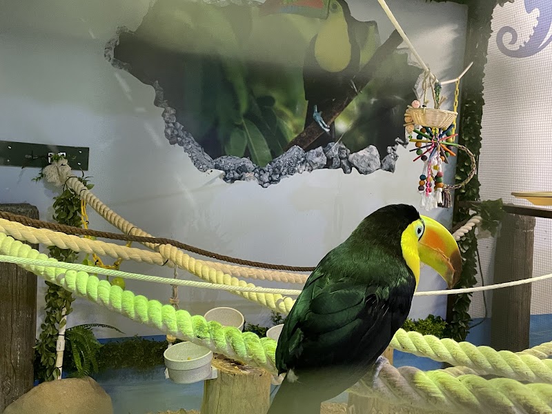 One World Interactive Aquarium photo 3