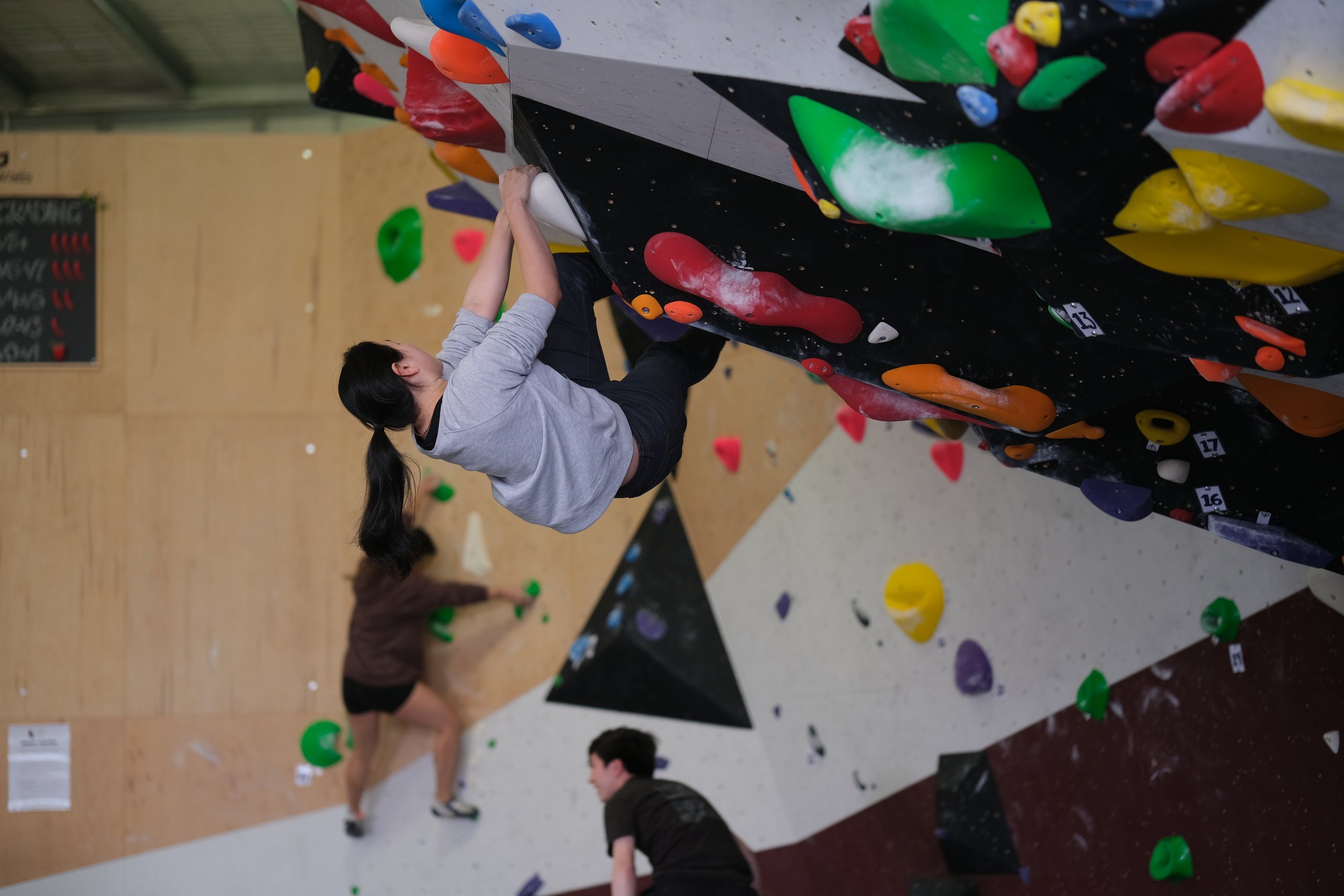 OnSight Climbing photo 3