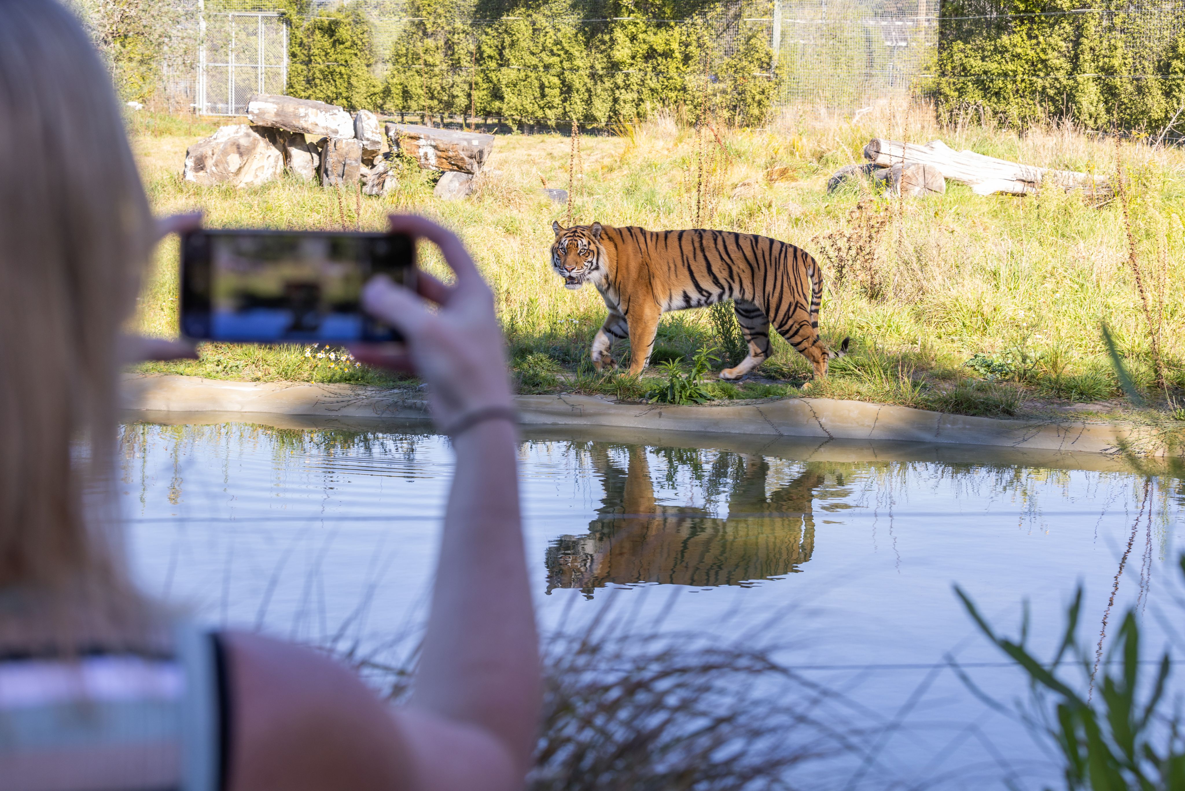 Orana Wildlife Park photo 2