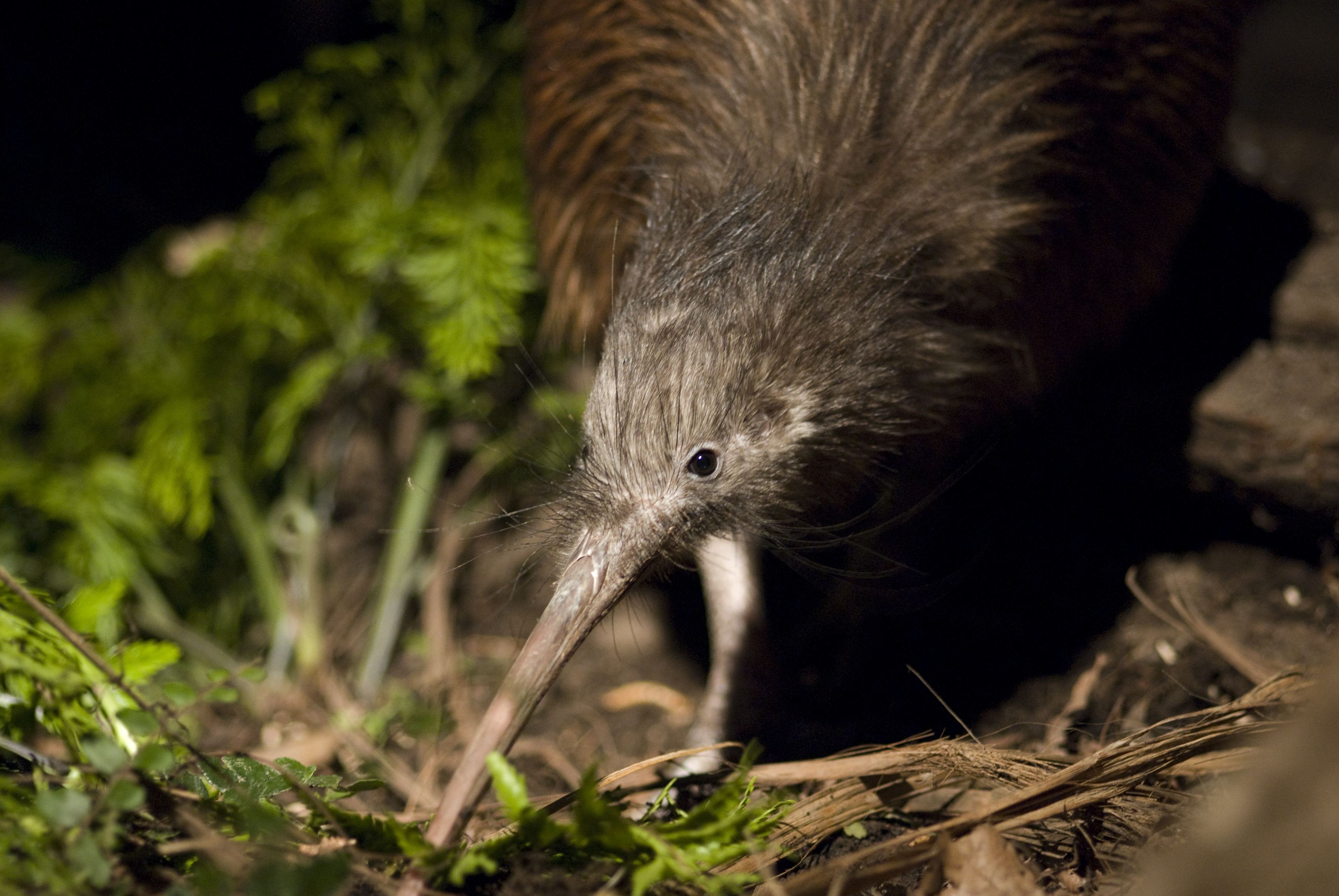 Orana Wildlife Park photo 3