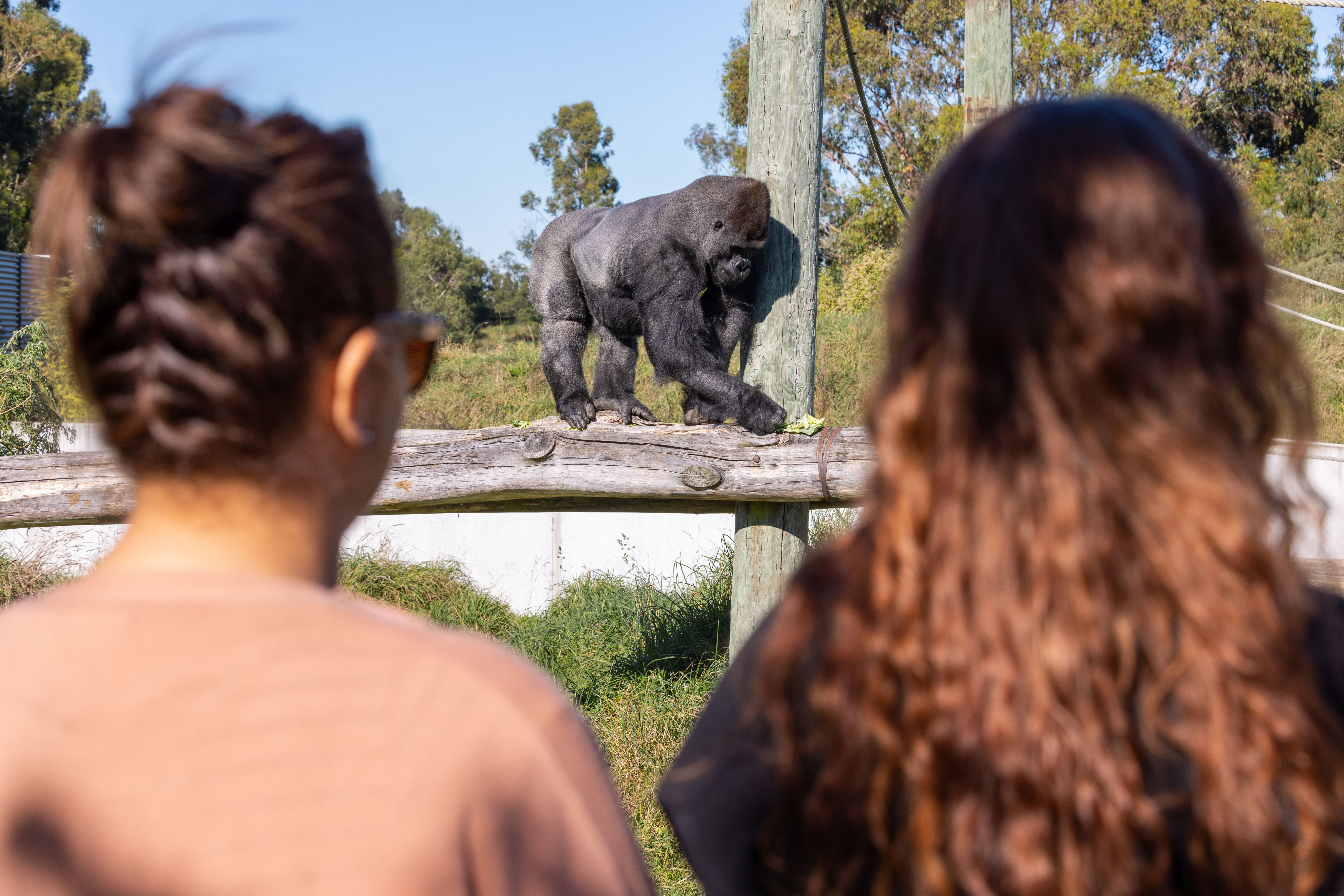 Orana Wildlife Park photo 4