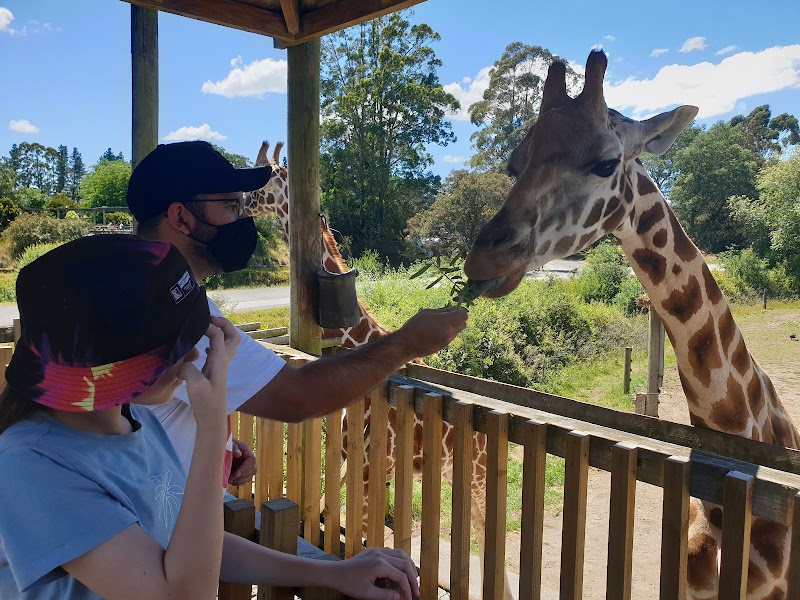 What 113 Parent Reviews Say About New Zealand's Best Family Wildlife Parks