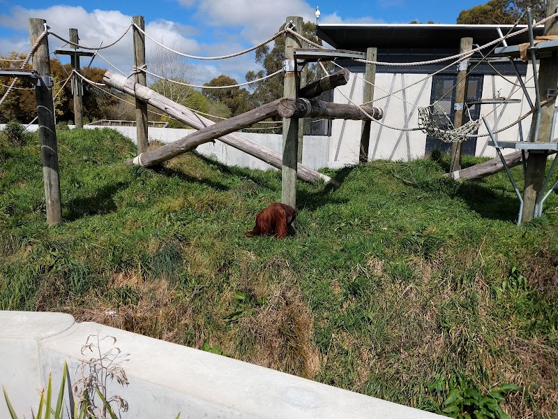Orana Wildlife Trust