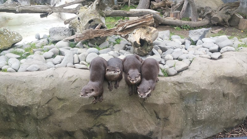 Orana Wildlife Trust photo 2
