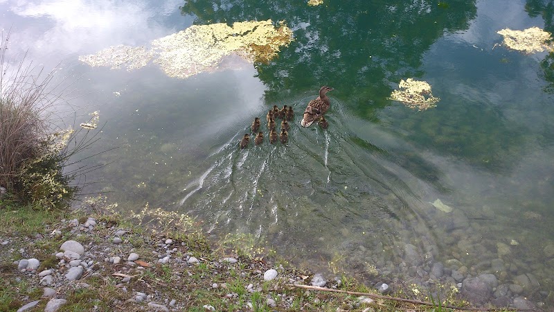 Orana Wildlife Trust photo 3