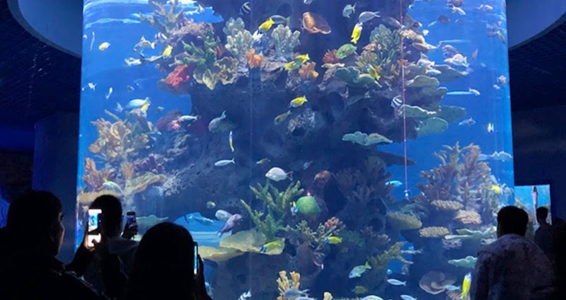Orange Coast College Dennis Kelly Aquarium