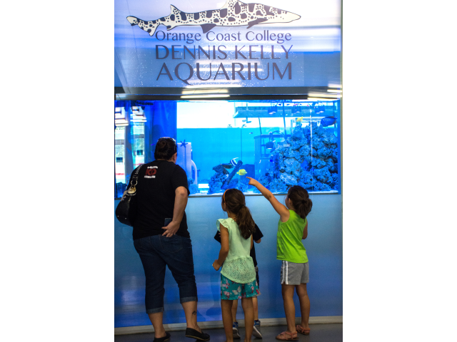 Orange Coast College Dennis Kelly Aquarium photo 2