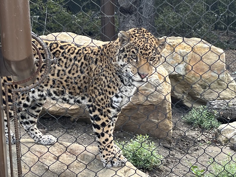 Orange County Zoo photo 2