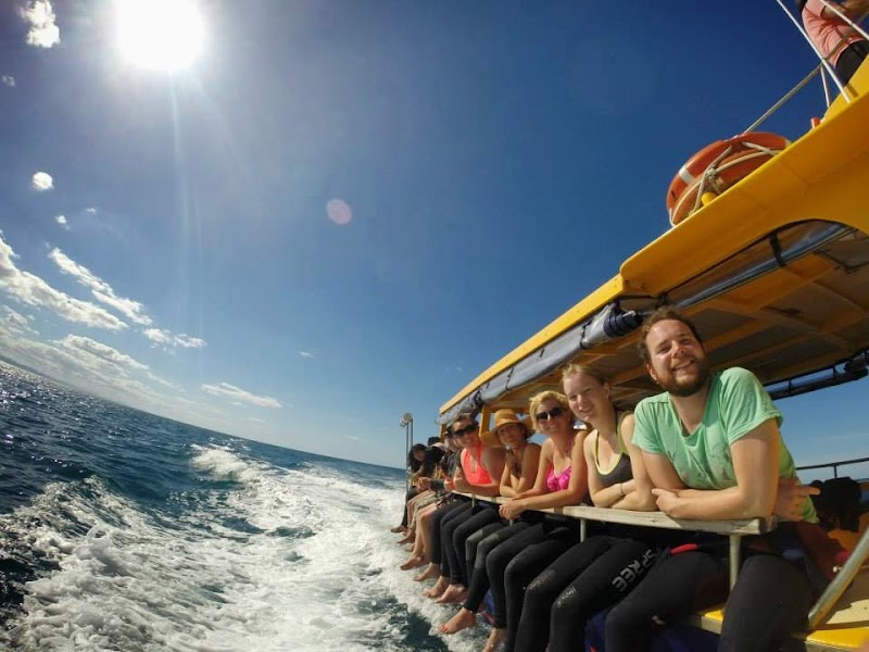 Orca Wild Adventures | Dolphin Swims photo 3
