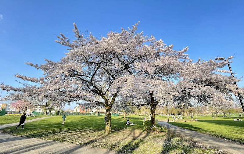 Ordsall Park photo 2