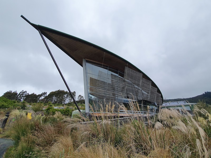 Orokonui Ecosanctuary