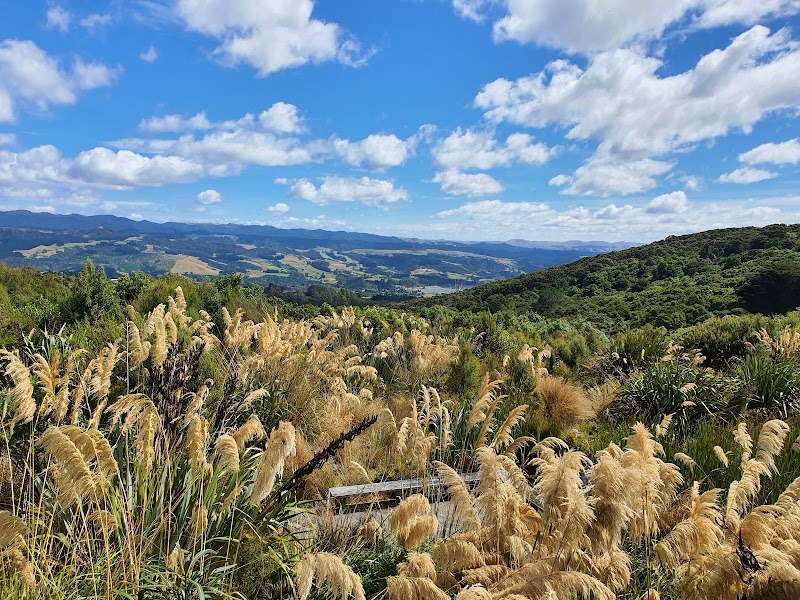 Orokonui Ecosanctuary photo 3