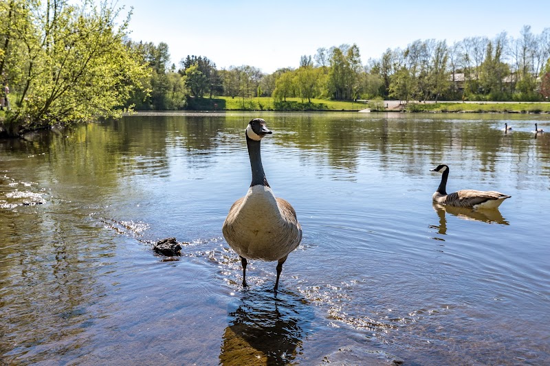 Orrell Water Park photo 3