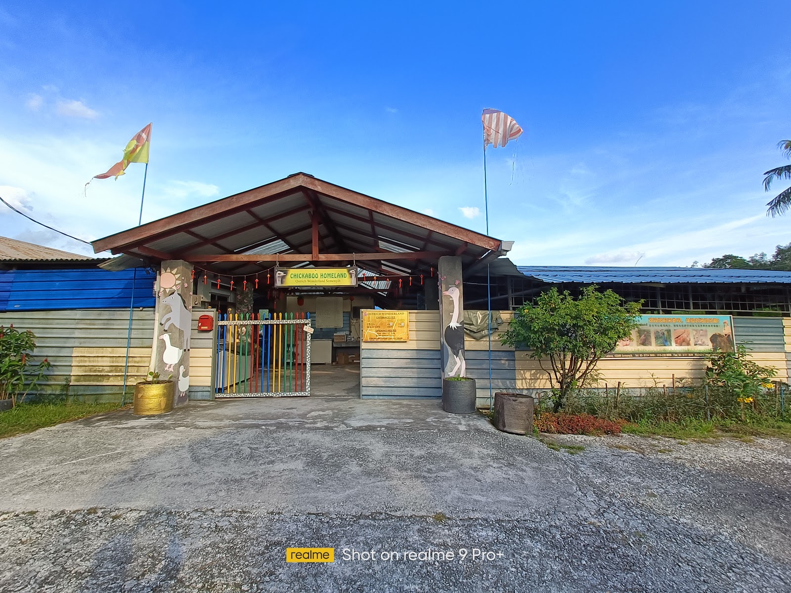 Ostrich Wonderland Semenyih photo 2