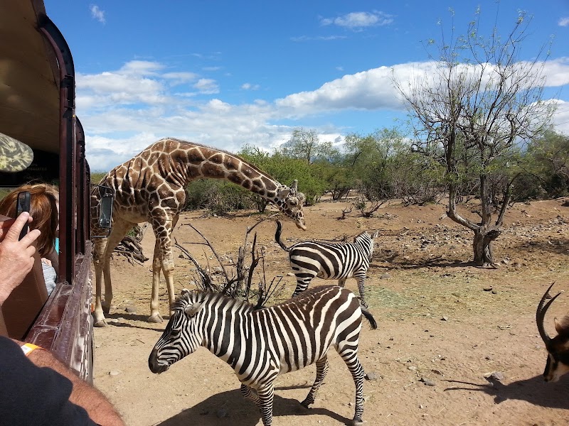Photo of Out of Africa Wildlife Park in Arizona
