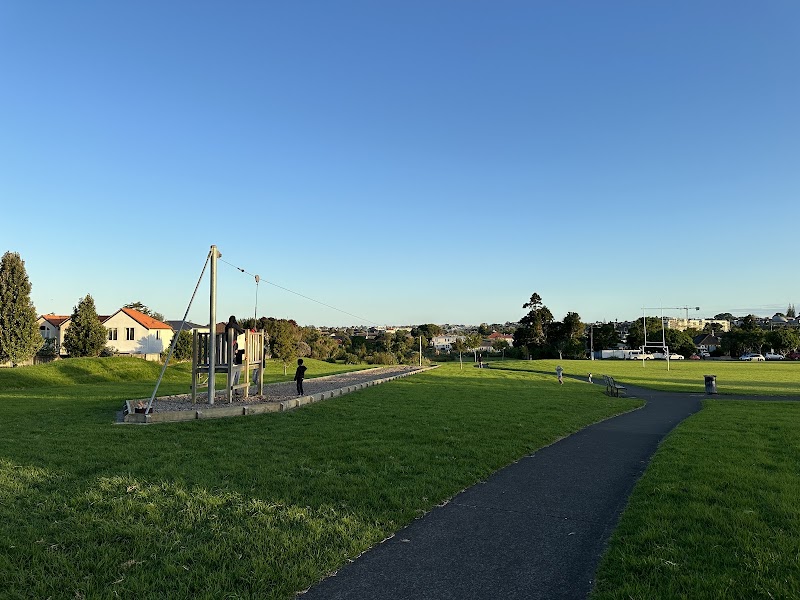 Owairaka Park Playground photo 2