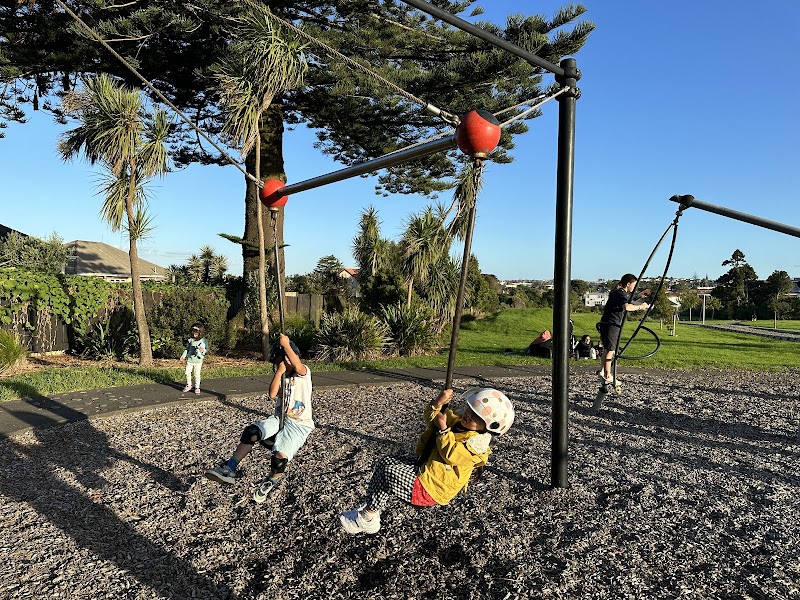 Owairaka Park Playground photo 3