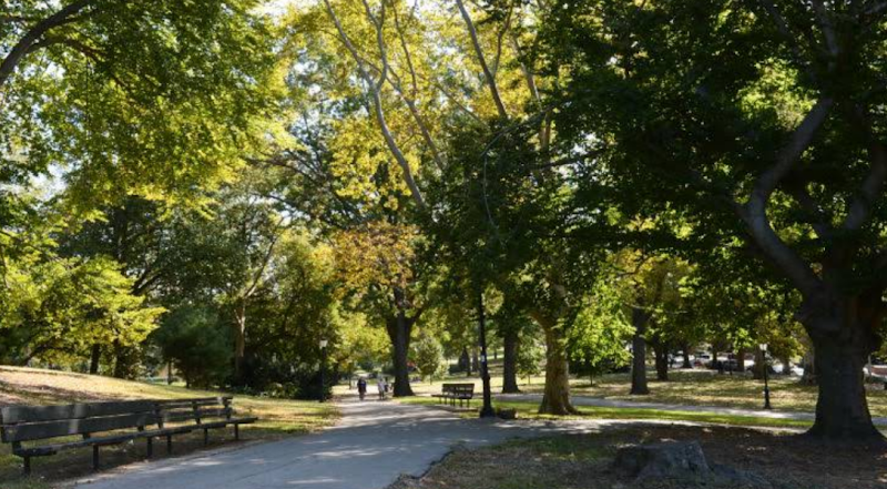 Owl's Head Park photo 3