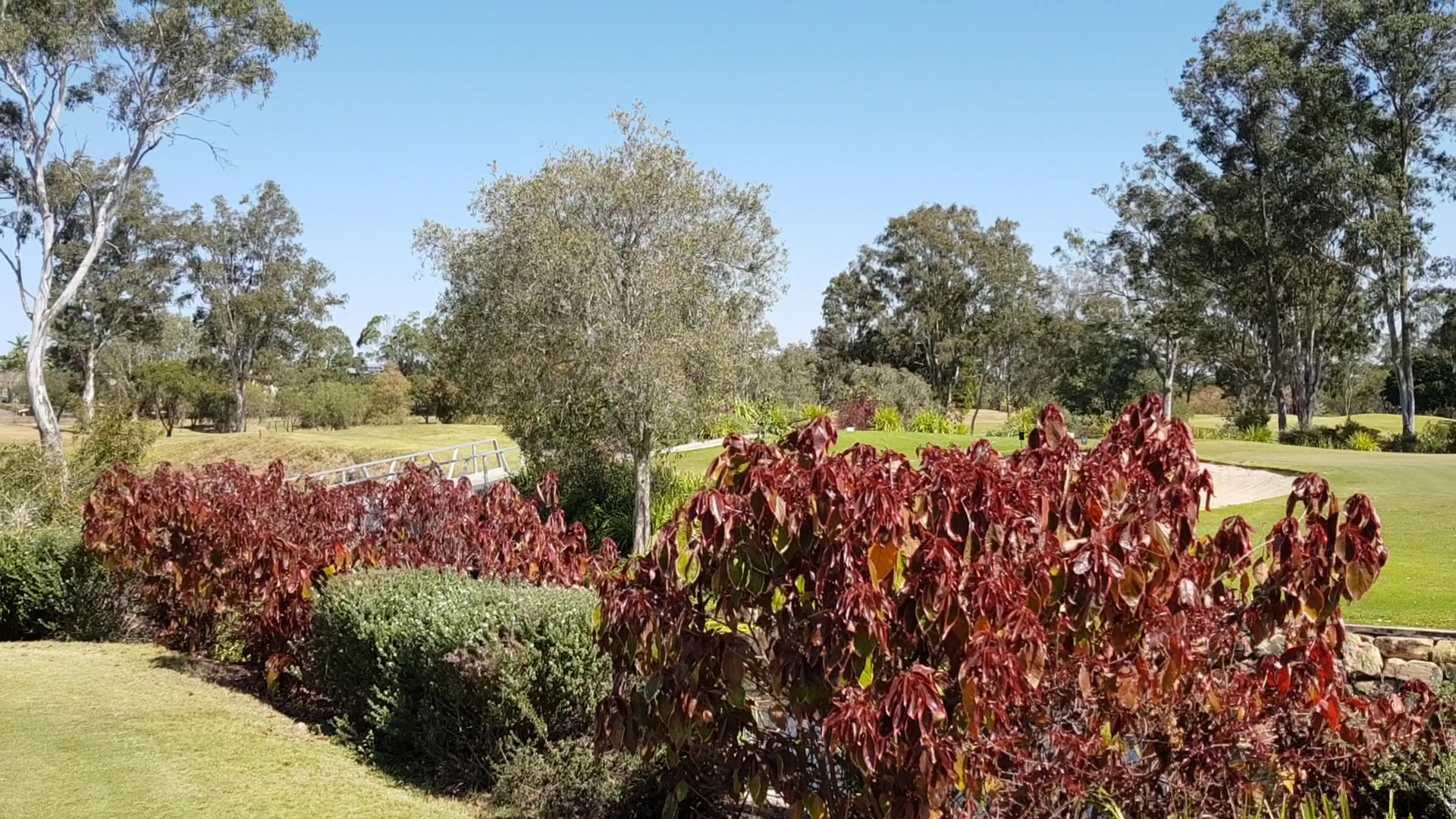 Pacific Golf Club photo 3