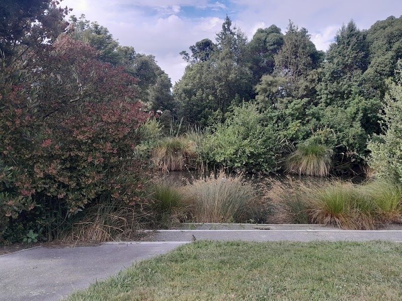 Paeroa Reserve Playground