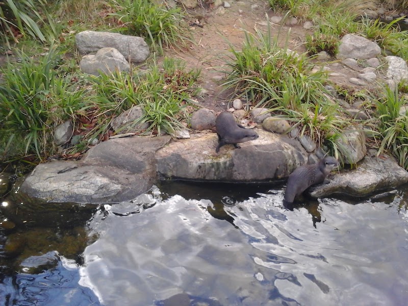 Palewell Park photo 2