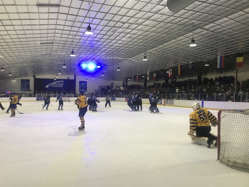 Paradice Ice Skating Avondale
