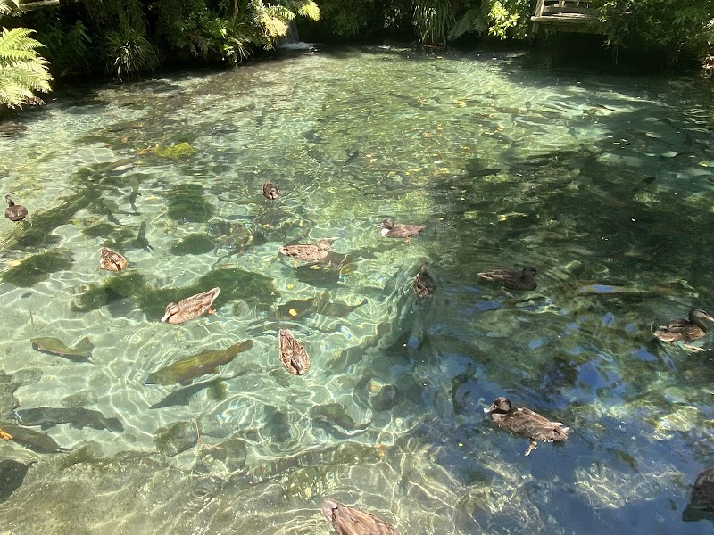 Paradise Valley Springs photo 2