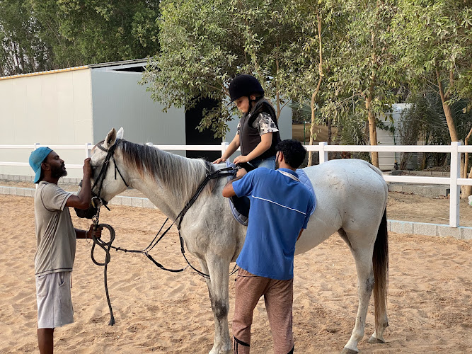 Paragon Equestree Farming Horses