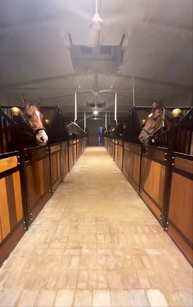 Paragon Equestree Farming Horses photo 2