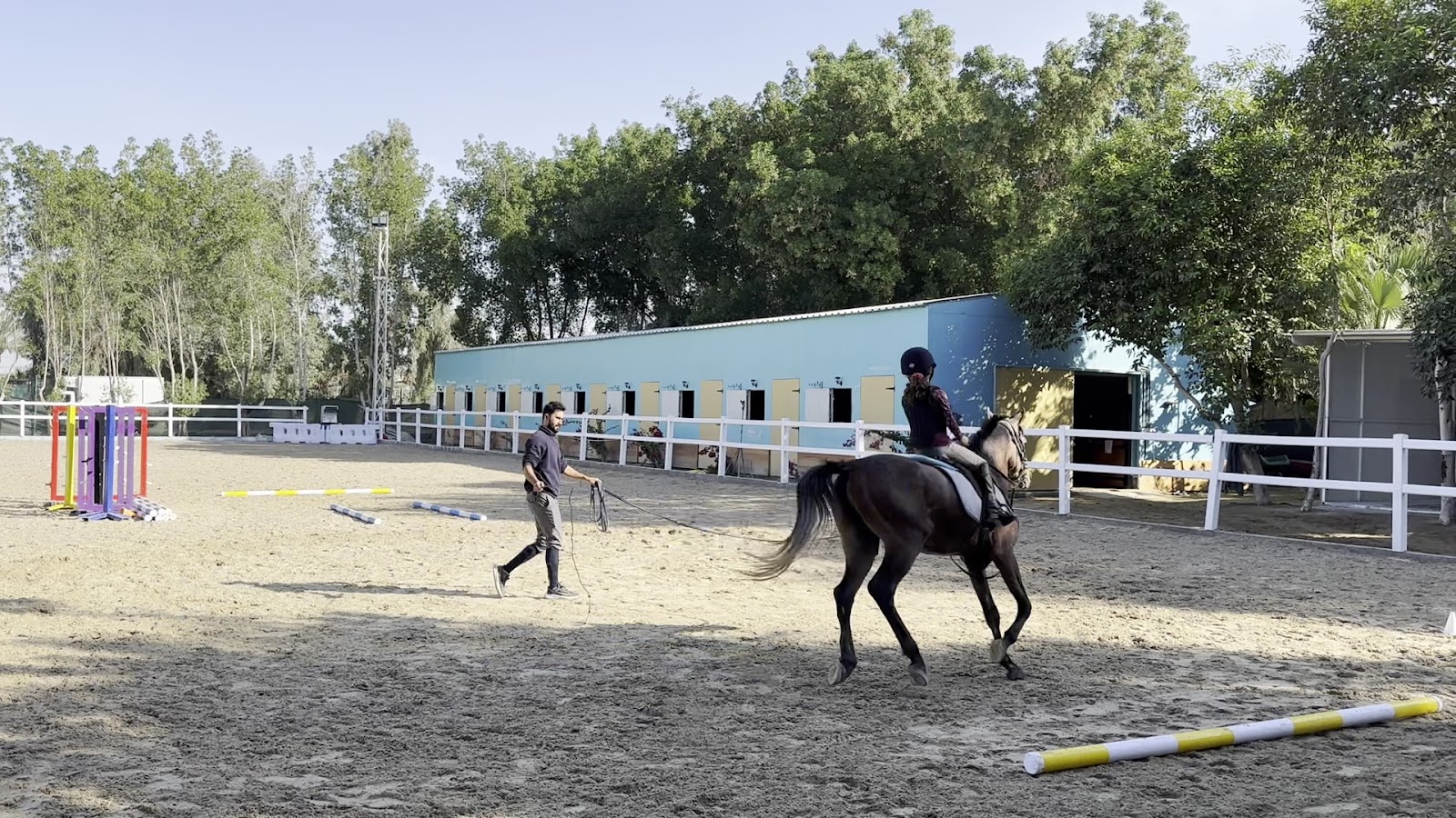 Paragon Equestree Farming Horses photo 3