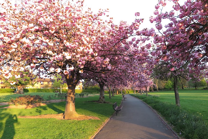 Park Hill Park