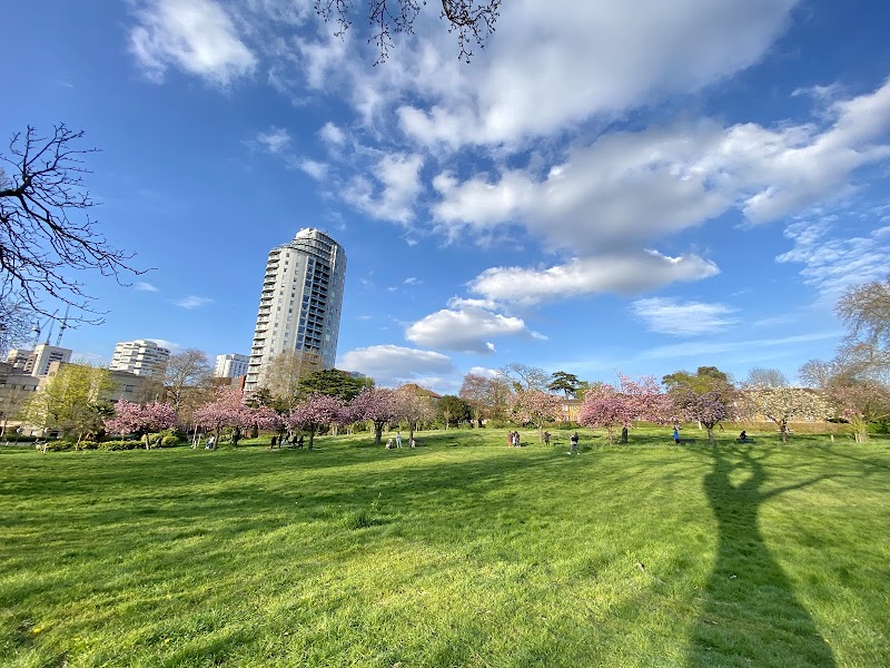 Park Hill Park photo 2