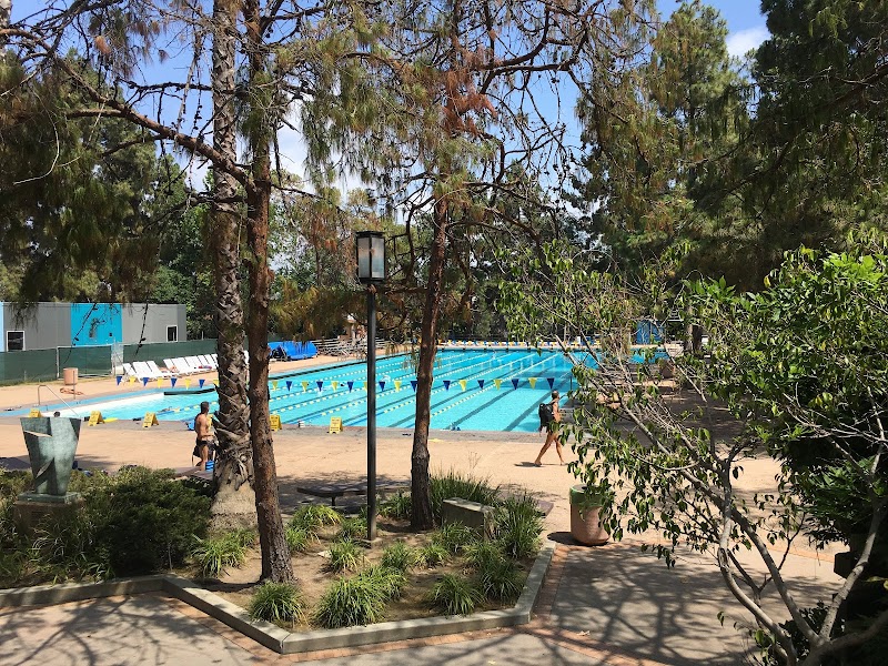 Park Pool photo 2