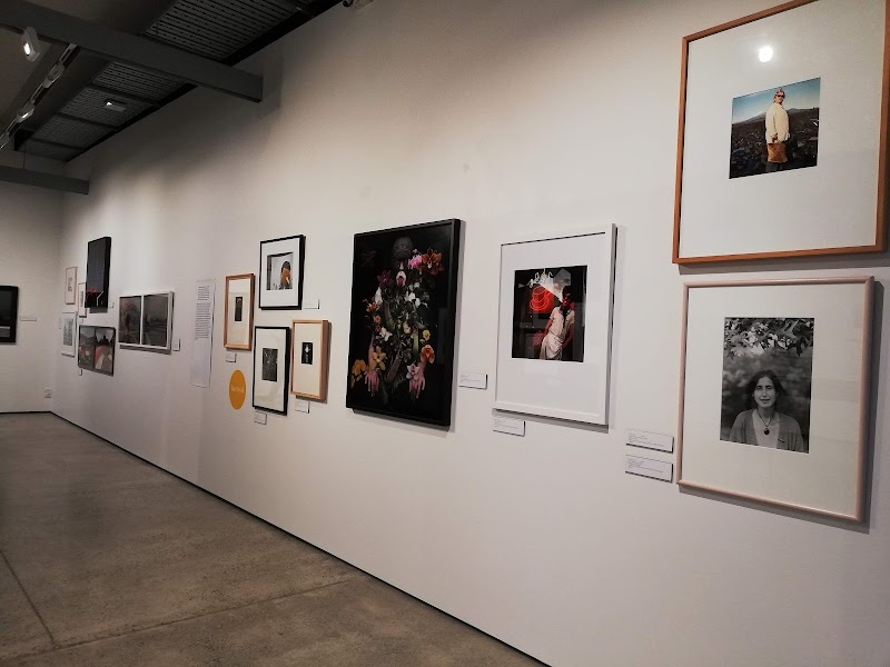 Pataka Art + Museum