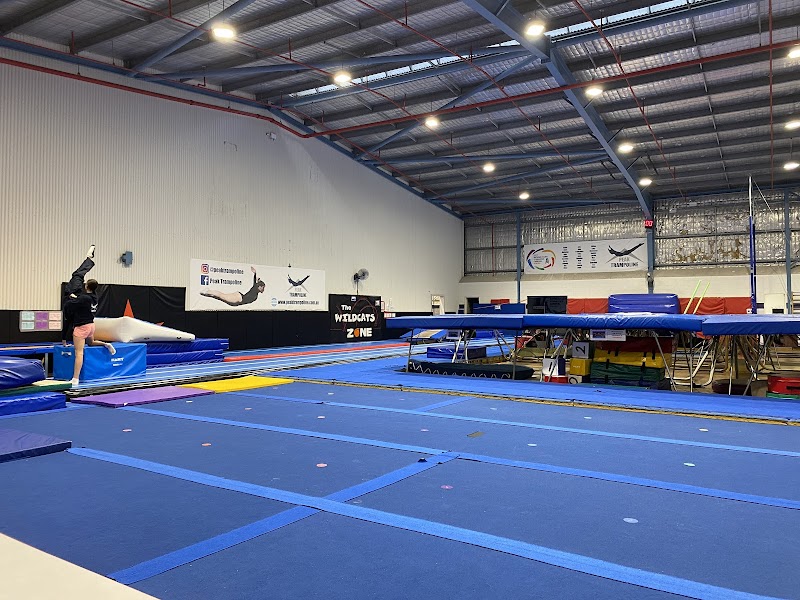 Peak Trampoline Inc photo 2