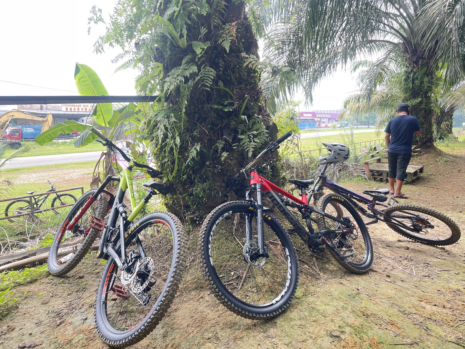 Pearl Jump Bike Park photo 3