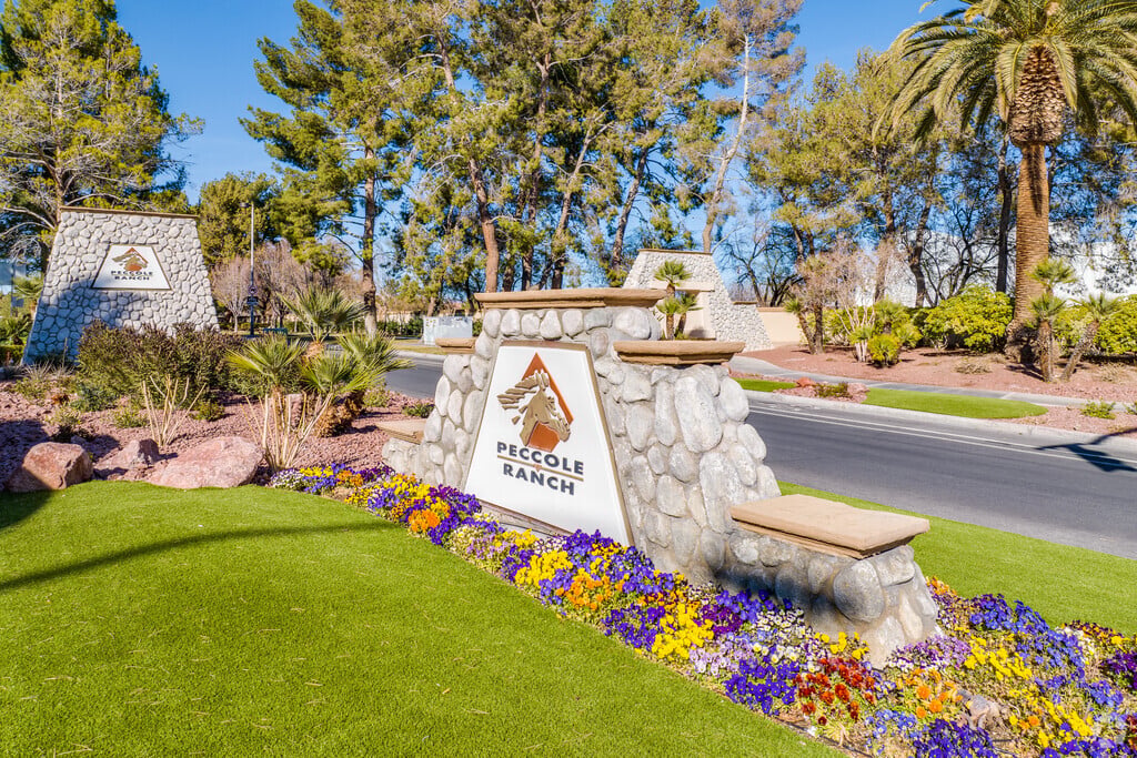 Peccole Ranch Community Playground photo 3