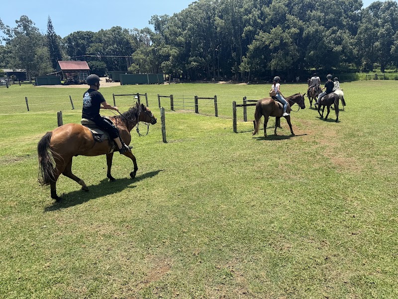 Pegasus Park Equestrian Centre photo 2