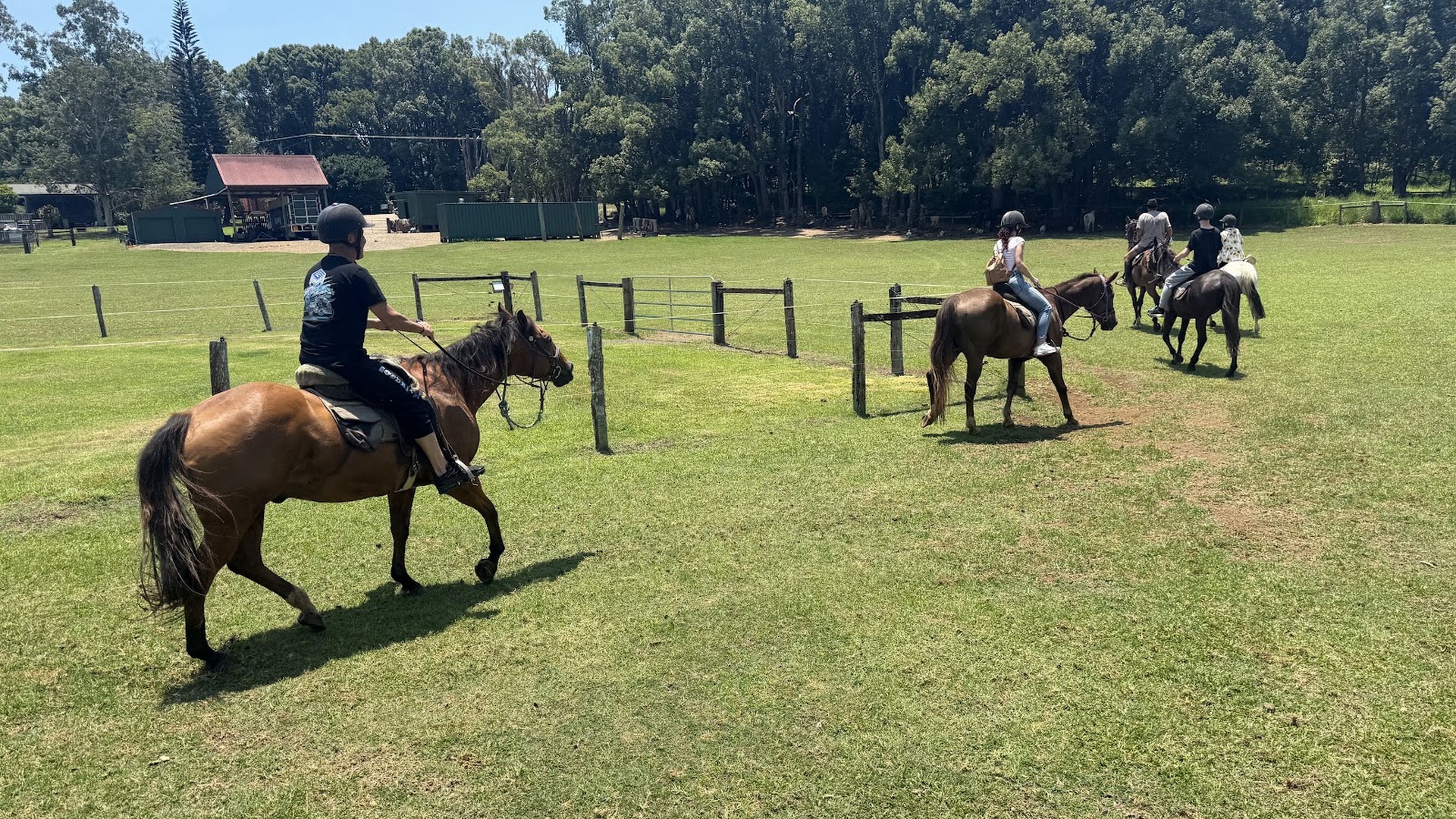 Pegasus Park Equestrian Centre photo 2