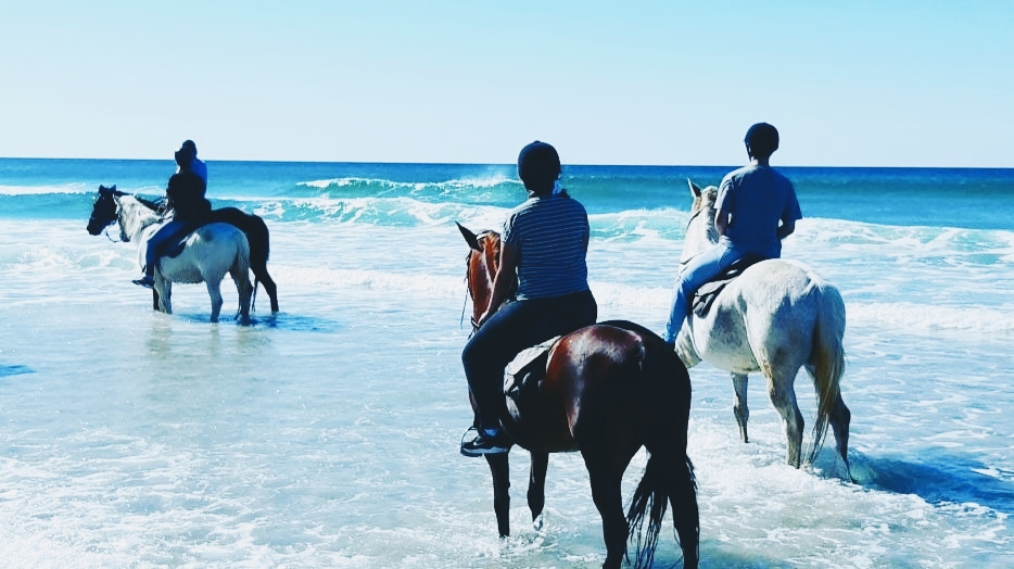 Pegasus Park Equestrian Centre