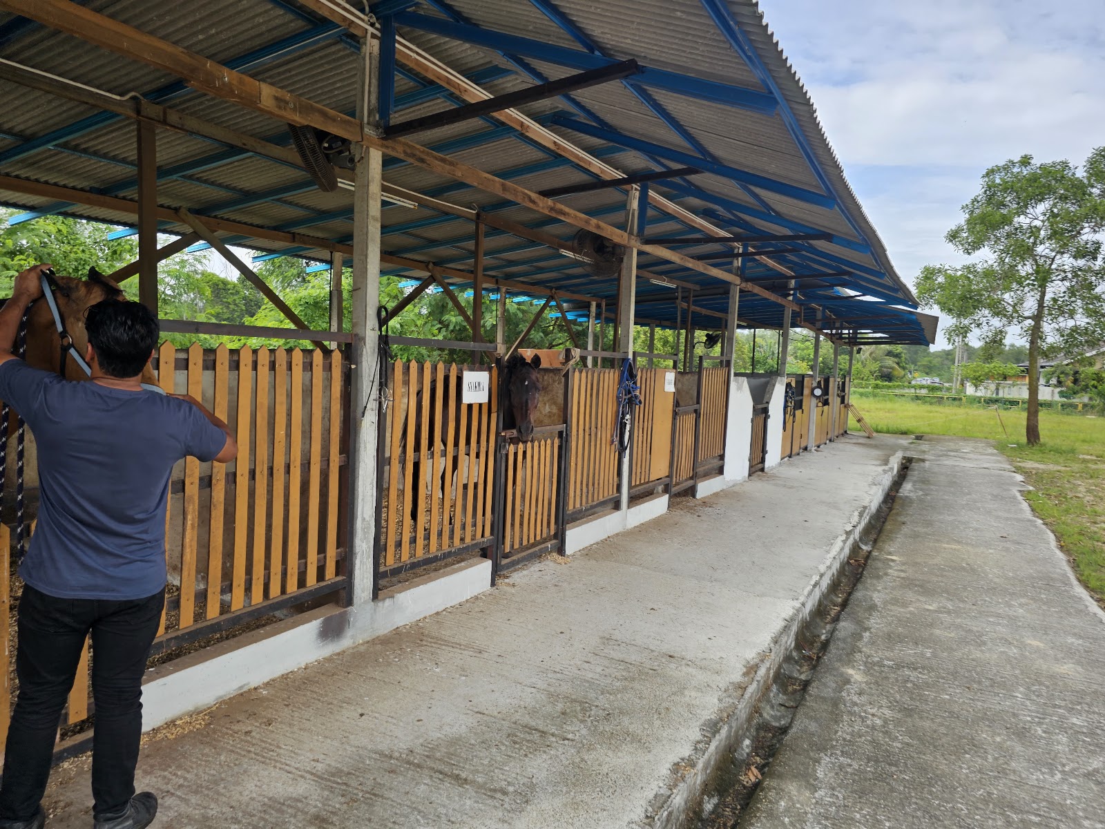 Penawar Horse Park (Horse Riding) photo 2
