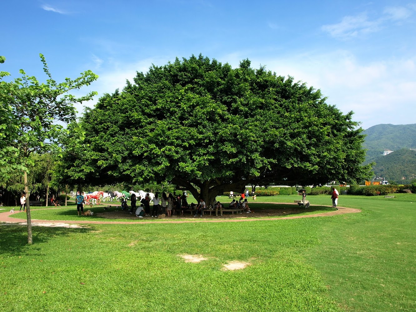 Penfold Park photo 4