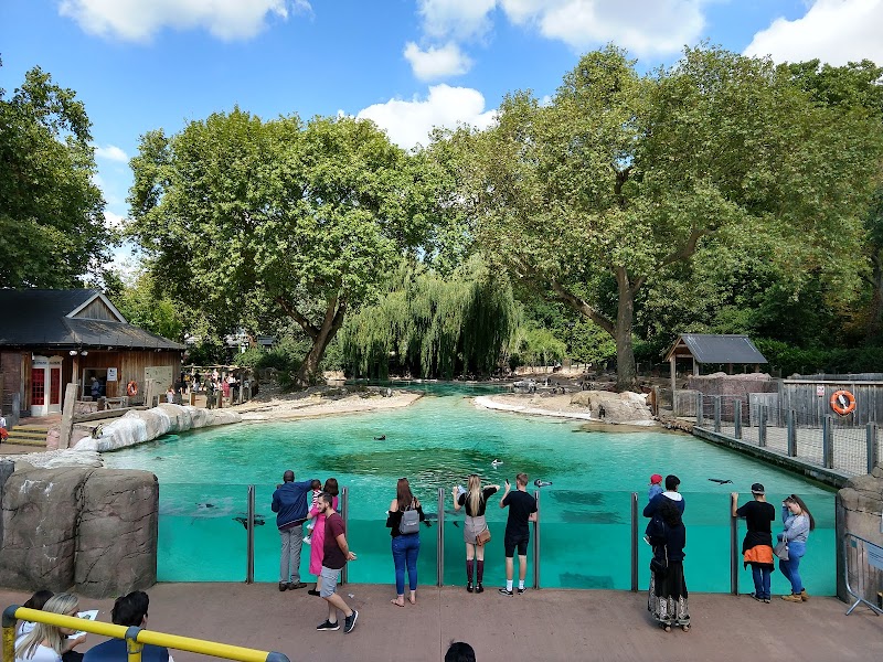 Penguin Beach