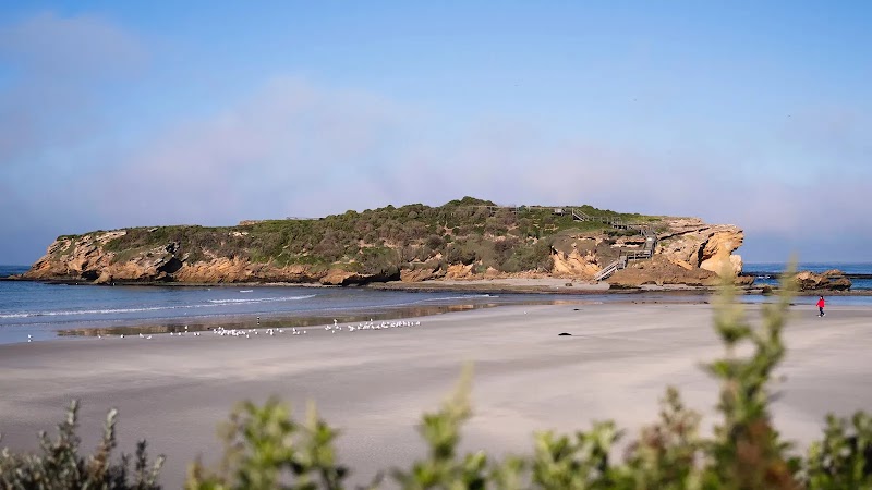 Penguin Protectors Warrnambool: The Middle Island Project Education Program