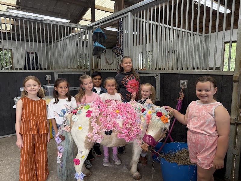 Perfect Pony Parties