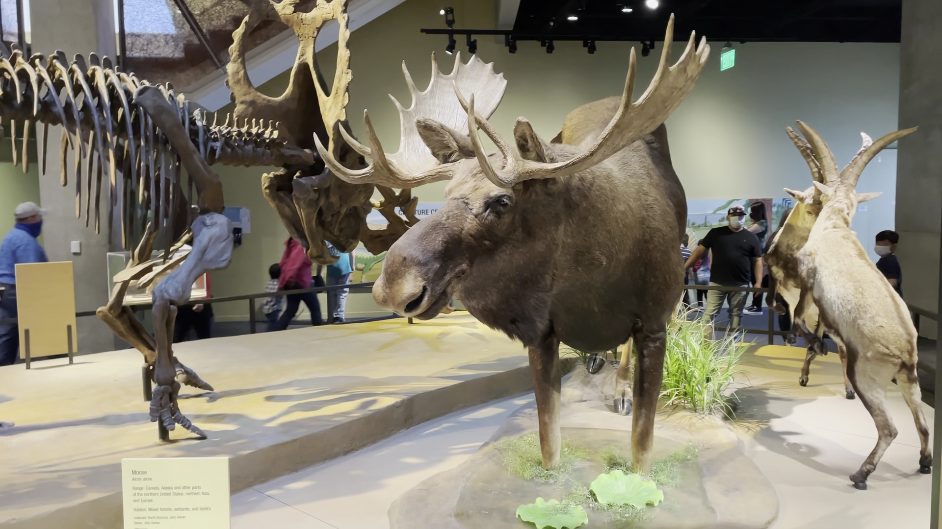 Perot Museum of Nature and Science photo 2