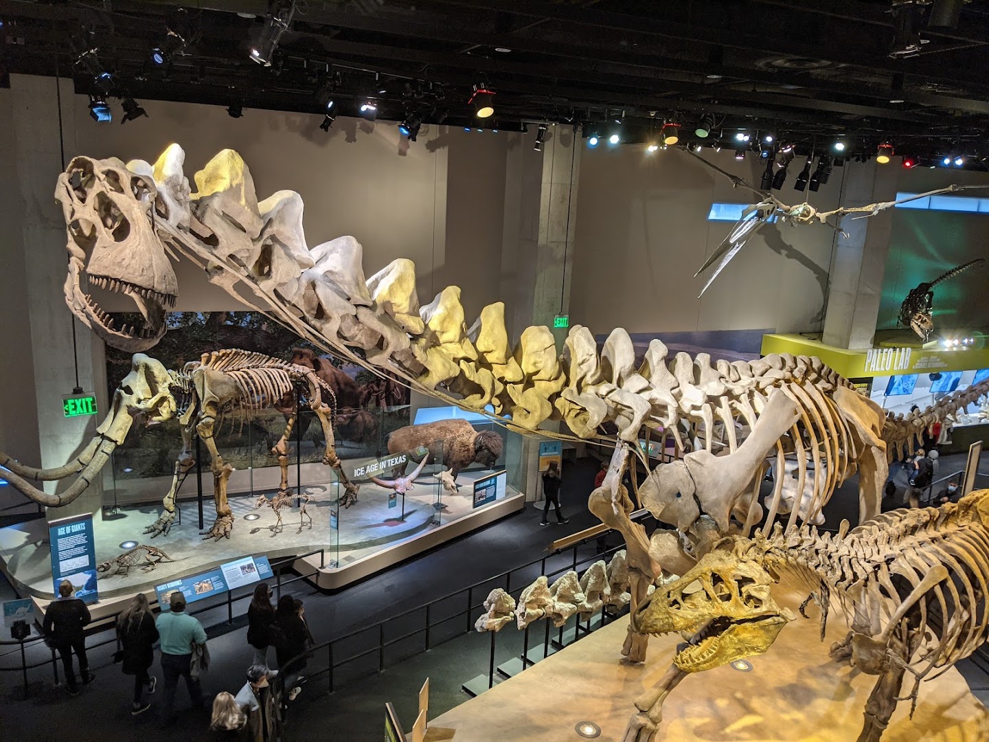 Perot Museum of Nature and Science photo 3