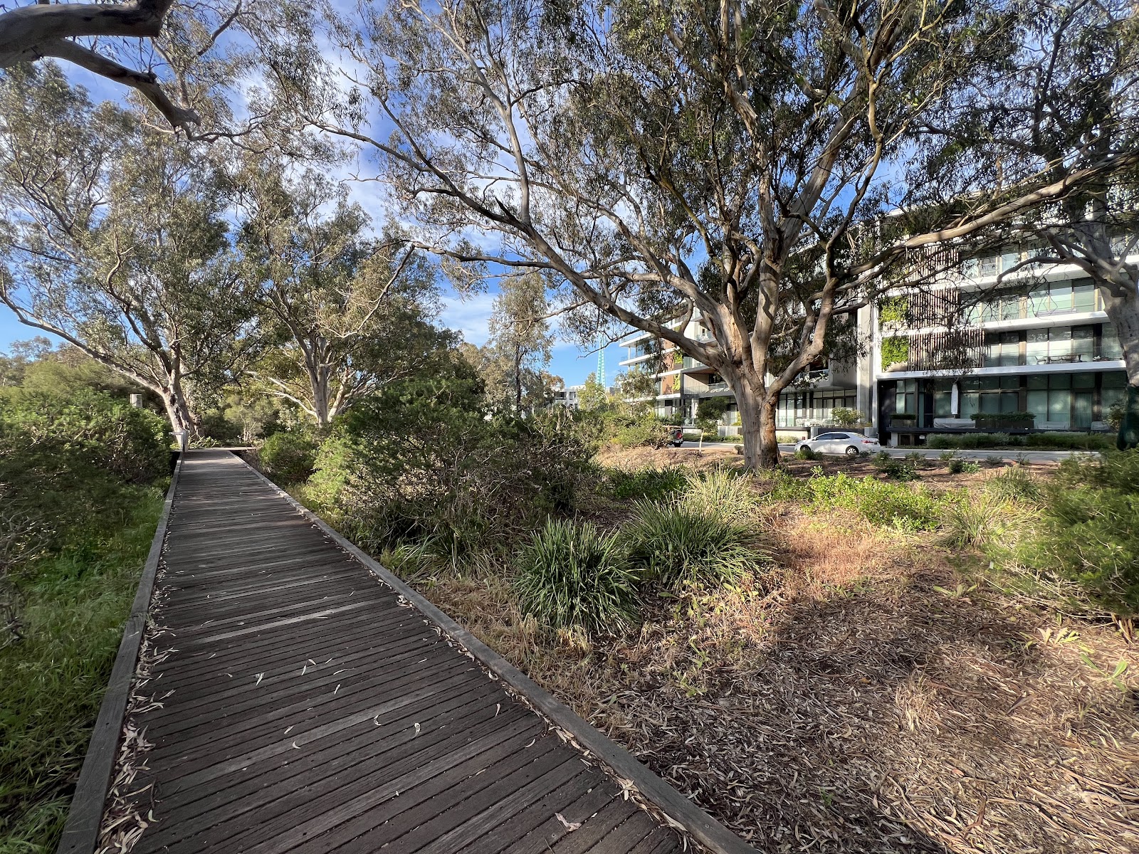 Perry Lakes Rope Playground
